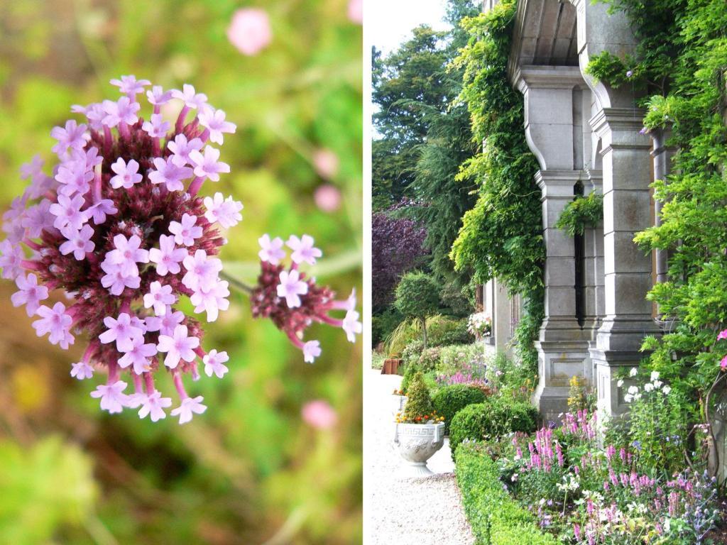 Tinakilly Country House Hotel Rathnew Exteriör bild